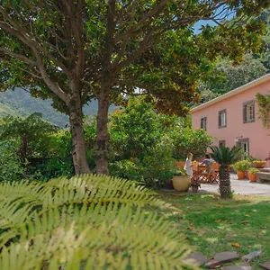 ** Gasthof Madeira Surf Portugal